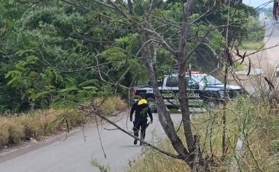 Hombre de la tercera edad es localizado …