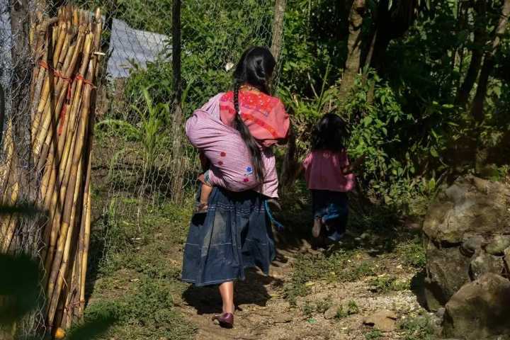 Estiman que 390 mil personas fueron víctimas de desplazamiento forzado en 2024