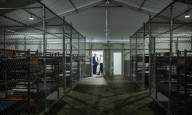 Jueza frena la construcción del centro migratorio Alligator Alcatraz por demanda ambiental