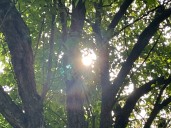 Warm and sunny start to the weekend expected in central Pa.