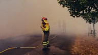 A partir del lunes queda prohibida cualquier actividad de caza en Ourense