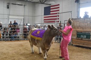 Photo Gallery: Bonneville County Fair Market Sale