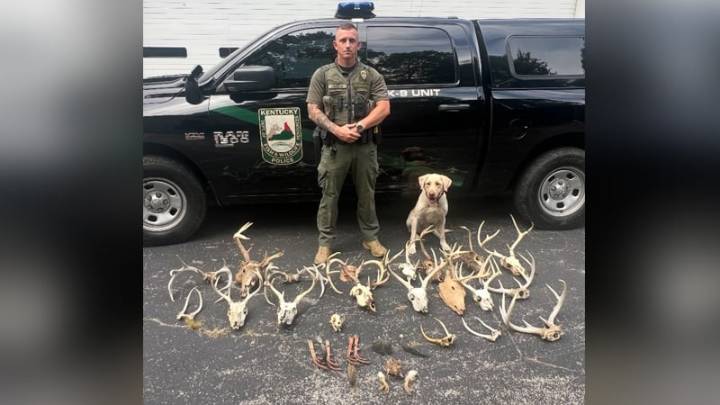 Laurel County man facing drug, poaching charges following investigation
