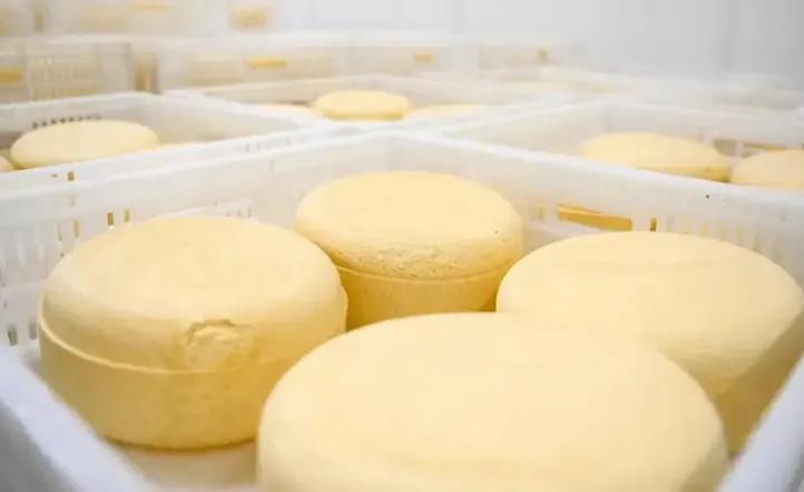 El Ministerio de Salud confirmó un brote de listeriosis asociado al consumo de quesos