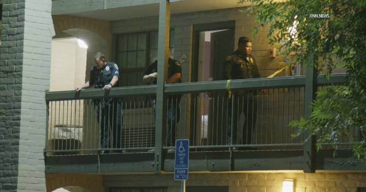 Court documents describe what led to the death of 8