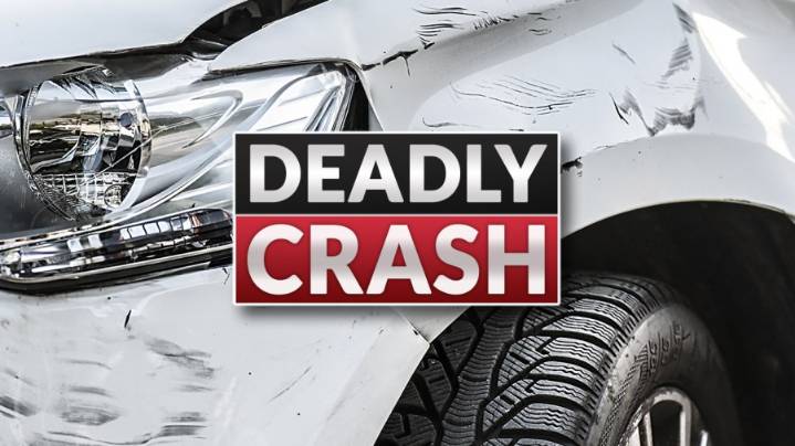1 dead, 1 injured after vehicle falls off interstate in Baton Rouge