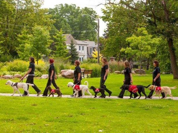 Innisfail fundraiser supports guide dogs for Canadians