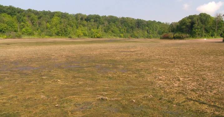 Alice Lake in William O'Brien State Park drained due to "mechanical issue," DNR says