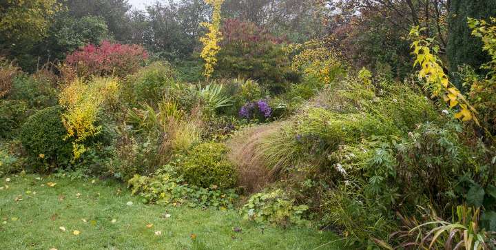 7 Things to NEVER Plant in Fall, According to a Garden Writer
