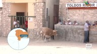Encierro por el campo en las fiestas de Lupiana