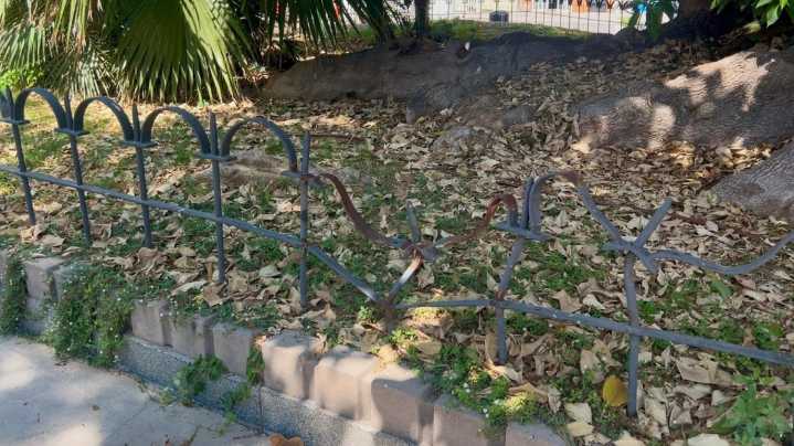 Cartagena | El PSOE de Cartagena denuncia la falta de cuidado de las zonas verdes del municipio