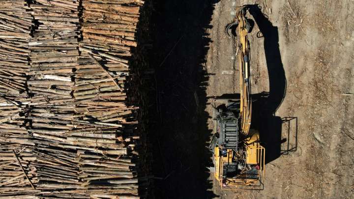Fiscalía confirma que atentados y robo de madera en el sur han mutado a extorsiones