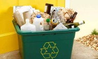Todos lo tiran a la basura, pero tienen un tesoro