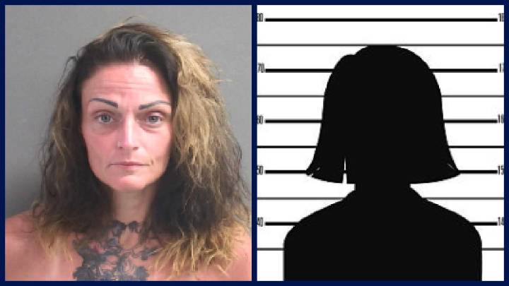 Owners of 2 dogs that killed Florida child face additional charge, deputies say