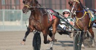 Burke enters Chapter Seven colts in $108,300 NYSS at Batavia Wednesday