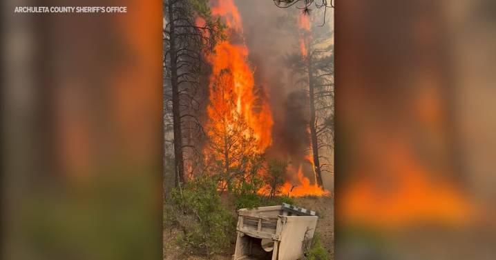 Oak Fire: Polis declares disaster emergency for wildfire that prompted evacuations near Pagosa Springs