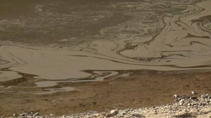 'The smell is what got us' | Oil from Roseland explosion detected in Tangipahoa River