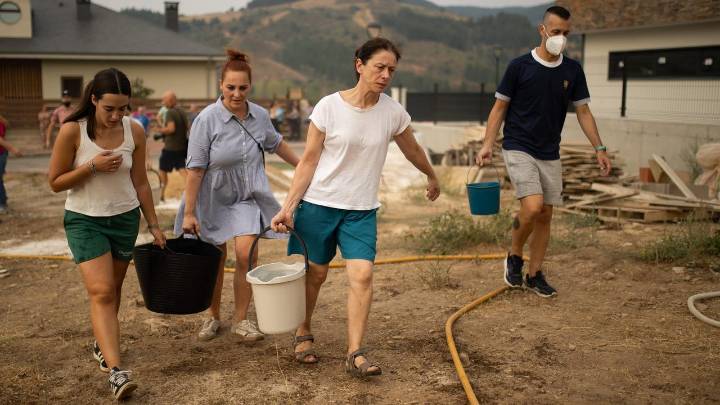 'Risto', el burro que avisó de que el fuego llegaba a Molinaseca (León)