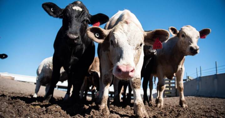 Pennsylvania Sees Growth in Ag-Related Processing Jobs