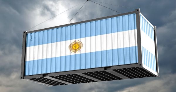 El superávit comercial resiste las importaciones: cuál es el sector que trajo alivio