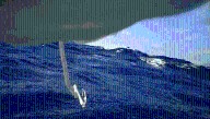 Seabirds’ Cloaca Cams Reveal They Poop In The Air, Fertilizing The Ocean Every 4 To 10 Minutes