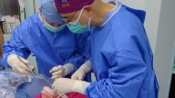 El primer trasplante de pulmón de un cerdo a un humano funcionó nueve días