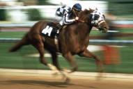 Deadspin | Secretariat’s Triple Crown jockey Ron Turcotte dies at 84