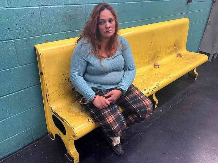 Rogers woman pleads guilty in case involving kids taken across country in a pickup before her arrest in California