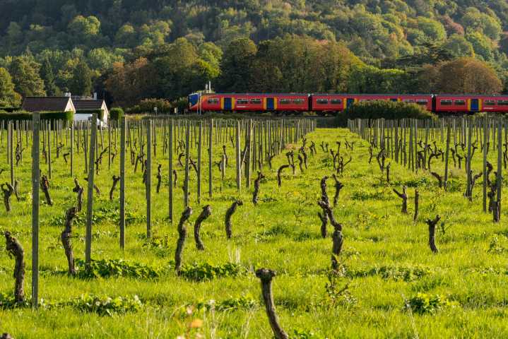 Agromenes: 'See it. Say it. Sorted. This is truly where Britain is broken'