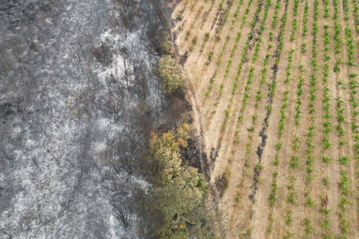Major French wildfire is unlikely to be under control until late on Sunday