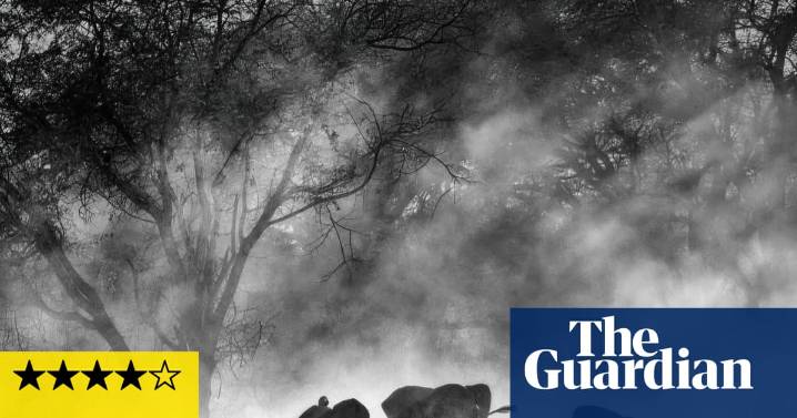 Ghost Elephants review – Werner Herzog embarks on a mission to track down giant jumbos