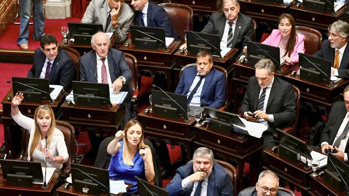 El Gobierno se enfrenta a una semana compleja en el Senado: universidades, Garrahan y decretos