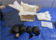Man admits trying to smuggle 850 protected turtles valued at $1.4 million to Hong Kong