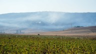 El abandono de montes y la mala gestión provocan los fuegos