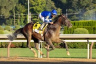American History Fails to Push Sovereignty to Reach World #1 in Horse Racing