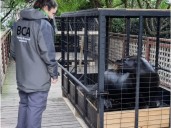 Polémica en Mar del Plata por presunto abandono de animales en el ex Aquarium: tras una inspección, trasladaron a cinco lobos marinos