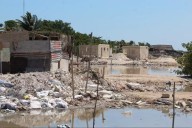 Manglares de Progreso, en riesgo por su invasión para constuir casas