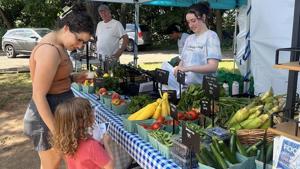 A federal program helps families eat healthy meals. Trump’s new legislation cuts it.