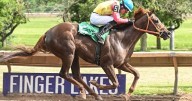 Arctic Queen Stakes highlights Labor Day card
