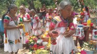 Reconocen a los abuelitos en su día