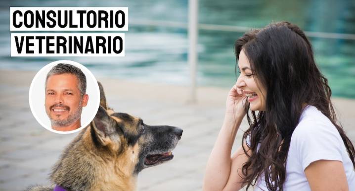 “Hablarles a las mascotas no es raro, es natural”, recalca veterinario Pancho Cavero
