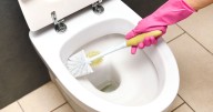 UK households warned of four 'filthiest' items used every day that are dirtier than your toilet
