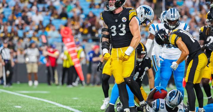 Steelers beat Panthers 19-10 in preseason finale