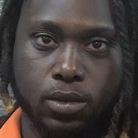 Suspect sought in thefts from motor vehicles in Danville