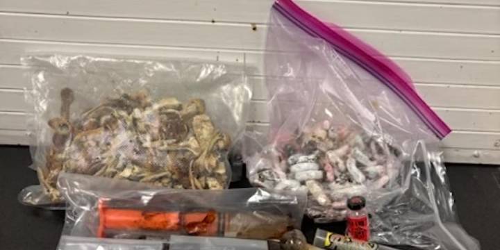 Man caught with several illegal drugs in Waffle House parking lot, South Carolina deputies say