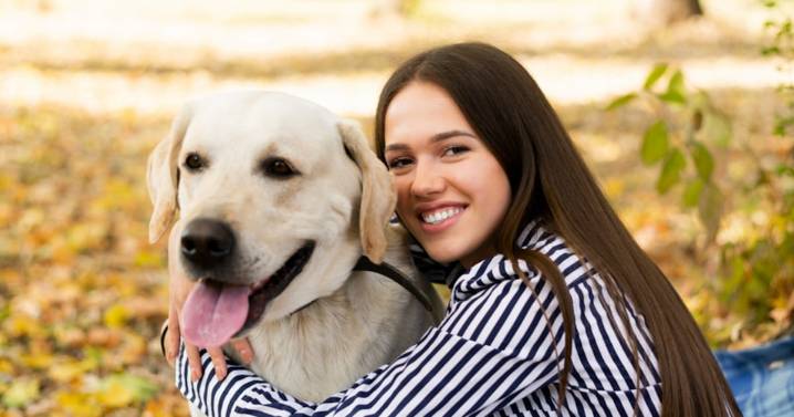 Tu perro también envejece… aprende a cuidarlo en esta etapa llena de amor
