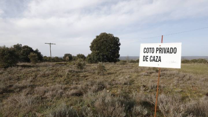 Los Ecologistas exigen la suspensión de la caza en los terrenos afectados por el fuego