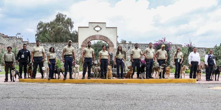 Agricultura y Senasica gradúan a binomios caninos para hacer frente a plagas como el gusano barrenador