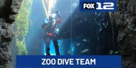 Inside look at how scuba divers keep animal habitats clean at the Oregon Zoo