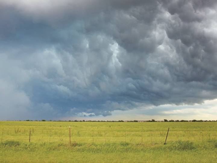Claims filed in Alberta hailstorm aftermath